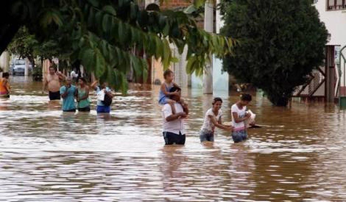 AL registra 8 mortes por suspeita de leptospirose e investiga 41 casos da doença