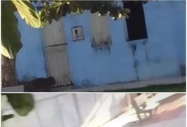 Capivara invade residências e assusta moradores no bairro Canafistula, em Arapiraca