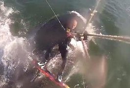 Homem pratica kitesurf e passa por cima de baleia gigante; veja