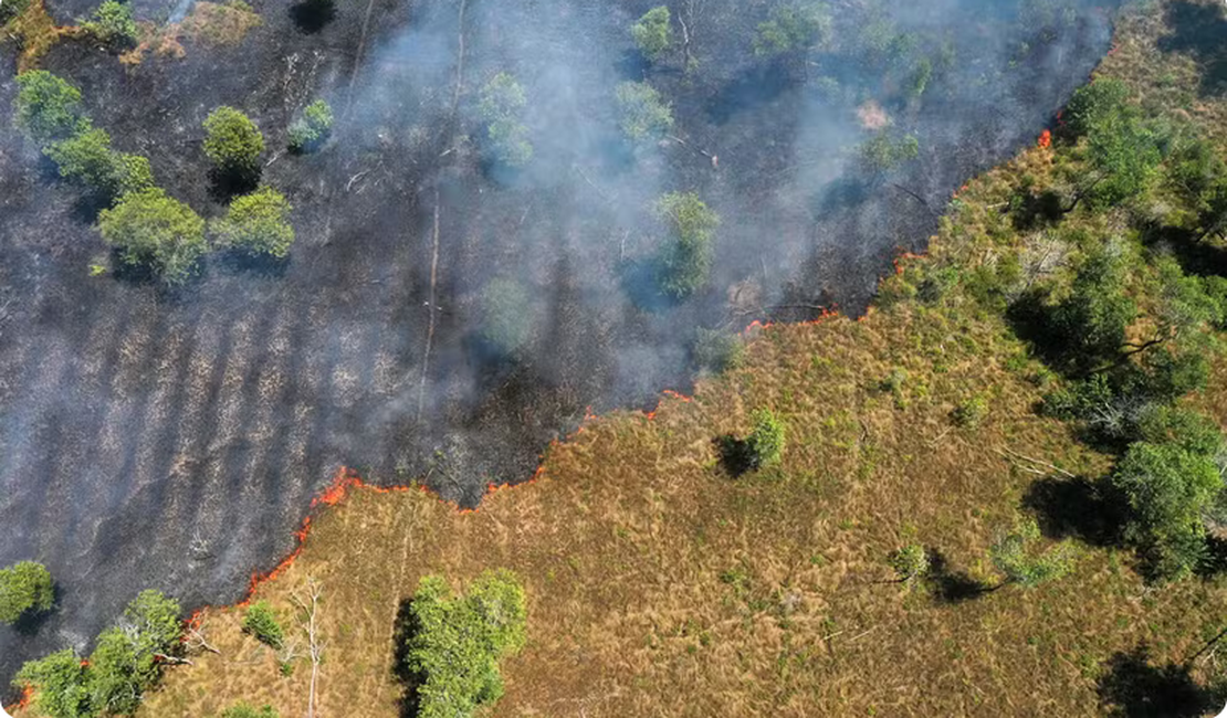 Desmatamento na Amazônia atinge menor nível desde 1985, quando série histórica teve início, aponta MapBiomas