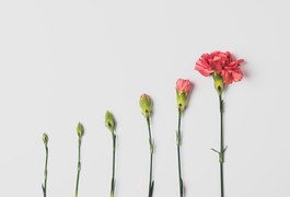 7 mudanças de estilo de vida que vão te surpreender!