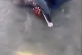 Golfinho ferido é encontrado encalhado na praia de Maragogi