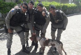 Cachorro vítima de maus tratos é resgatado por militares, em Arapiraca