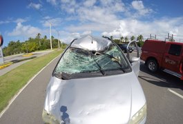 Animal na pista provoca acidente e deixa casal ferido na AL 101 Sul