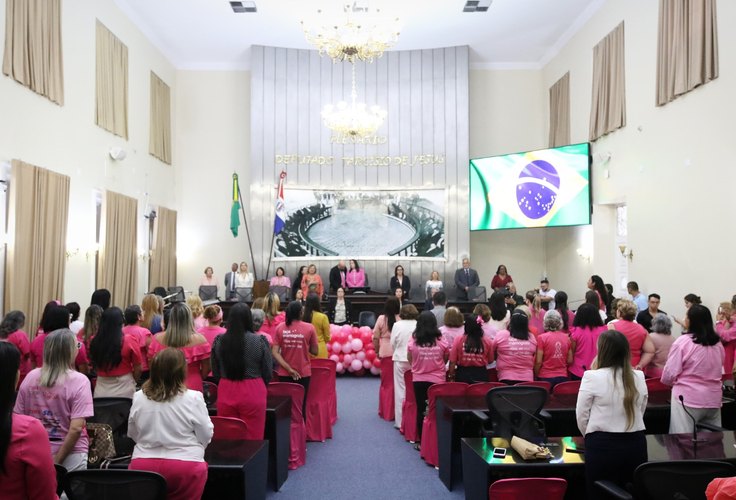 Outubro Rosa: Tolerância zero ao câncer metastático é defendido em sessão especial na ALE