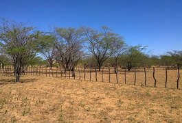 Temperaturas no Sertão alagoano podem chegar a 40º C no Verão, que começa nesta sexta-feira (21)