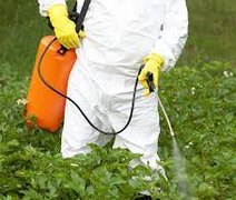 Alagoas é o Estado brasileiro que mais consome agroquímicos, aponta estudo