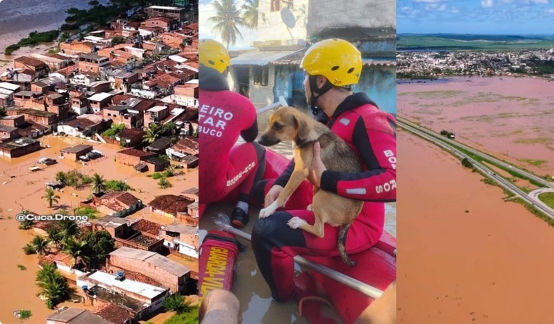 VÍDEO: Goiana (PE) fica alagada após fortes chuvas; bombeiros resgatam ilhados e governo mobiliza equipes