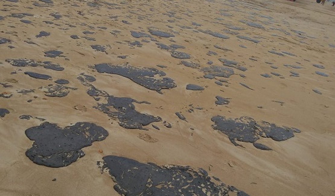 Entidades buscam origem do óleo que já afetou 114 praias nordestinas