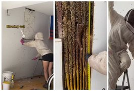 Influenciadora descobre colmeia com 80 mil abelhas e retira 22kg de Mel