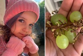 Criança de apenas 3 anos morre após se engasgar com uva