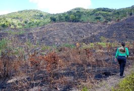 IMA alerta sobre aumento de queimadas e reforça necessidade de autorização para queima controlada