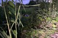 Jovem é morto a tiros na região do Parque das Árvores, na Cidade Universitária