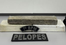 Foragido é preso com tabletes de drogas após tentativa de fuga seguida de colisão na BR-316, em Santana do Ipanema