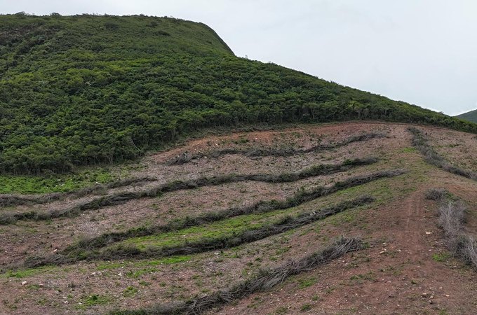 Fiscalização localiza área desmatada equivalente a cerca de 800 campos de futebol entre Traipu e Batalha