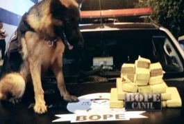 BOPE Comando apreende mais de oito quilos de maconha em Maceió