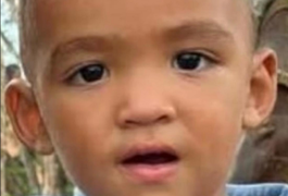 Batida na AL-130 resulta em morte de menino de 3 anos; homem fica ferido