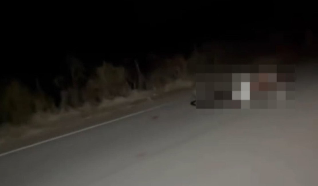 Motociclista morre após atingir animal solto na AL-145, em Água Branca