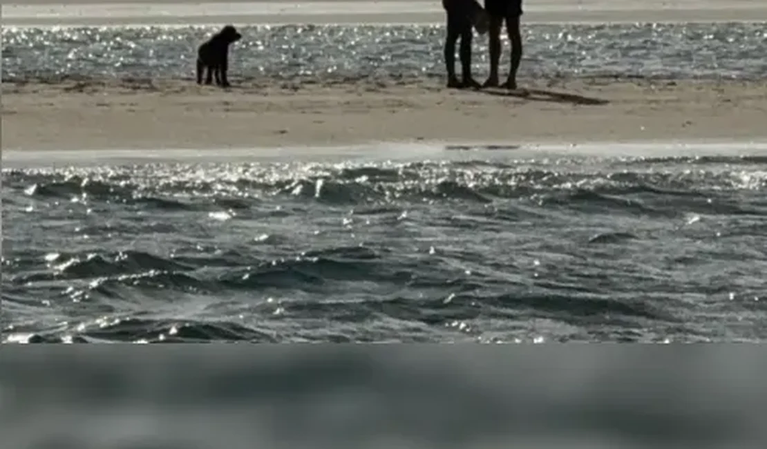 Bruna Marquezine e Shawn Mendes são flagrados se beijando em praia de Alagoas