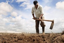 Governo federal reconhece emergência em 67 municípios de Alagoas devido à seca