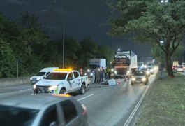 Égua do Exército foge de regimento e morre atropelada por carreta na Avenida Brasil