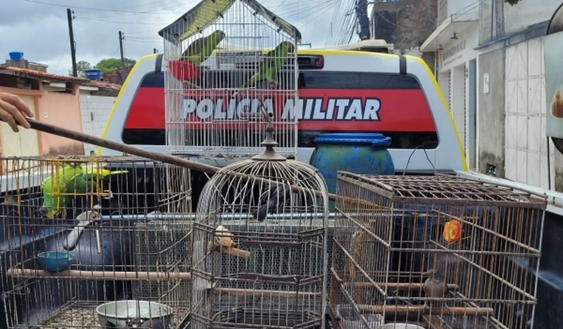 Polícia Ambiental apreende cerca de 200 animais silvestres no interior de Alagoas