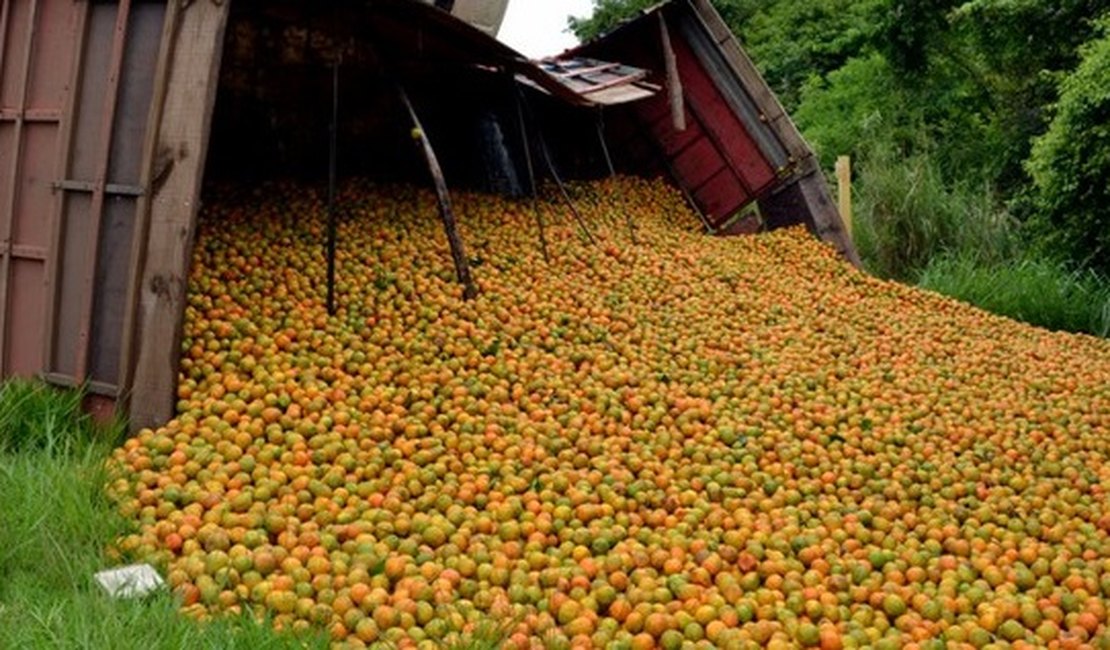 Caminhoneiro morre após ficar soterrado embaixo de carga de laranja, em Alagoas