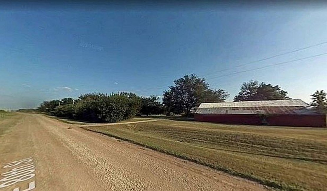 Cachorro pisa em arma, atira e mata seu próprio dono dentro de carro