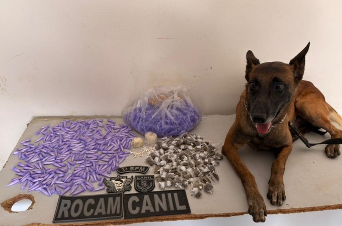 PM apreende drogas no Conjunto Frei Damião, em Arapiraca