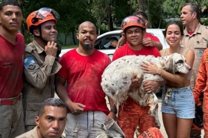 Cachorro da cantora Anitta se assusta com fogos, cava buraco na mansão e é resgatado por bombeiros no RJ