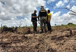 FPI do São Francisco usa imagens de satélite em atuação contra desmatamento