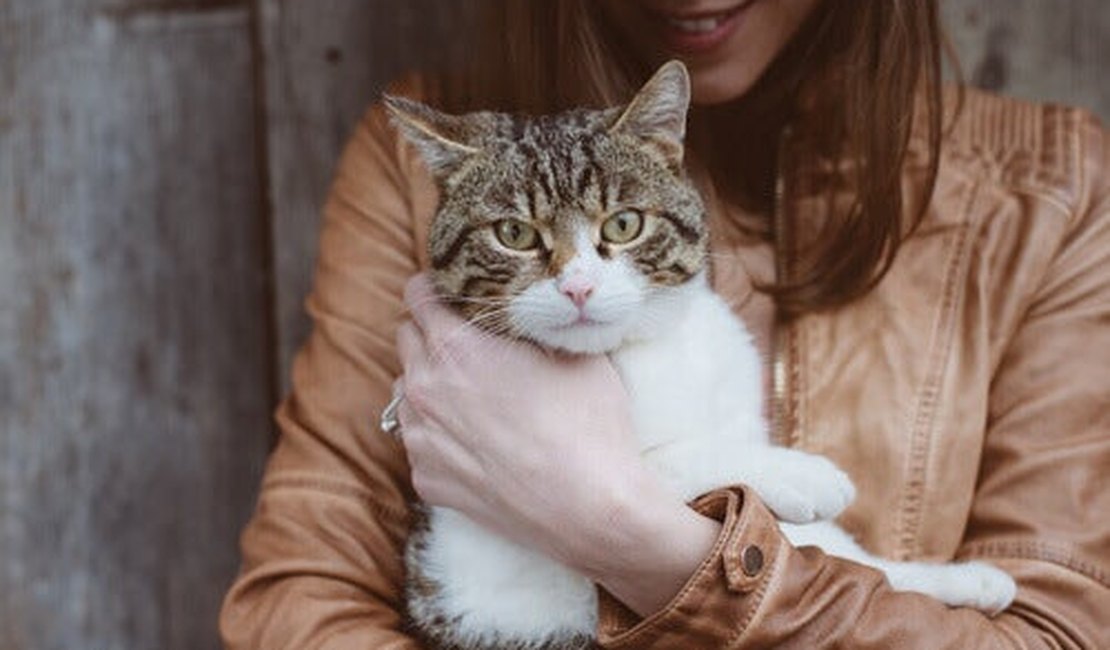 Como proteger seu animal de estimação da Toxoplasmose?