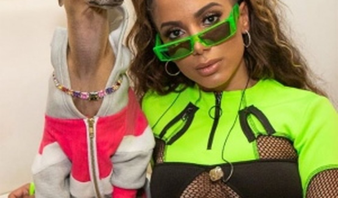 Anitta afirma achar cachorros mais fiéis que homens: 'Por isso tenho um monte'