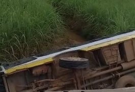 Motorista fica ferido após ônibus com trabalhadores rurais cair em ribanceira no interior de Alagoas