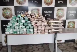 Polícia Civil apreende 160kg de maconha transportados em ônibus clandestino em São Sebastião