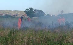 Fogo em vegetação