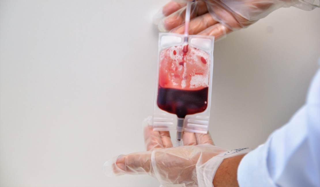 Doação de sangue após dengue: Hemoal orienta sobre prazos e medidas de segurança