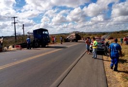 Condutores ficam feridos e animais são arremessados em colisão entre caminhões