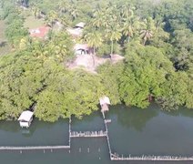 Substâncias tóxicas são encontradas no Rio Tatuamunha após morte de peixes-boi em Porto de Pedras