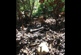 Família reconhece pulseira em ossada encontrada em Piaçabuçu que seria de jovem desaparecido