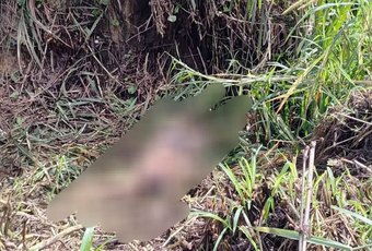 Homem encontrado morto com cerca de 40 facadas em Rio Largo é identificado pela Polícia Civil