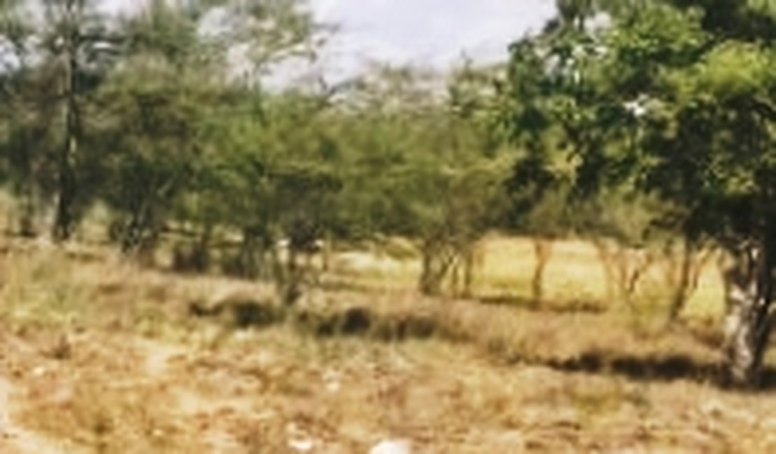 Corpo de adolescente com marcas de tiros é achado às margens da rodovia, em Igaci