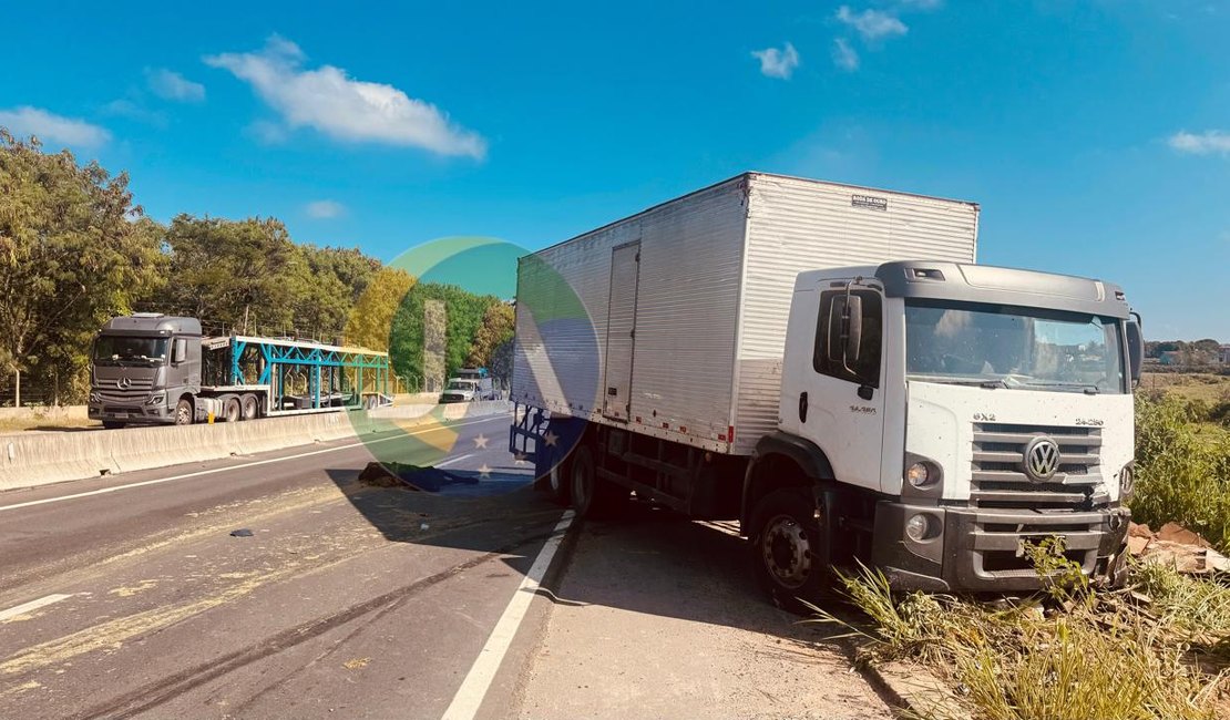 Motorista que seguia para Caruaru colide caminhão-baú contra boi solto na AL-110, em Arapiraca