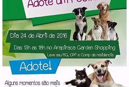 ONG Protetoras realiza feira de adoção de animais