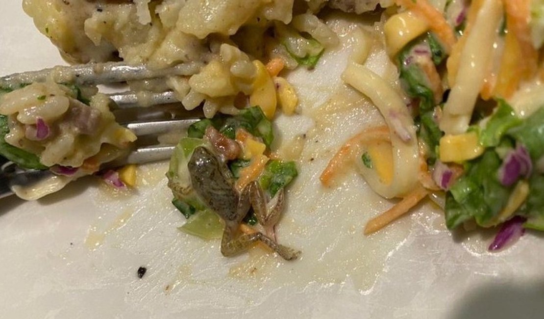 Viralizou: Cliente encontra rã em salada de restaurante