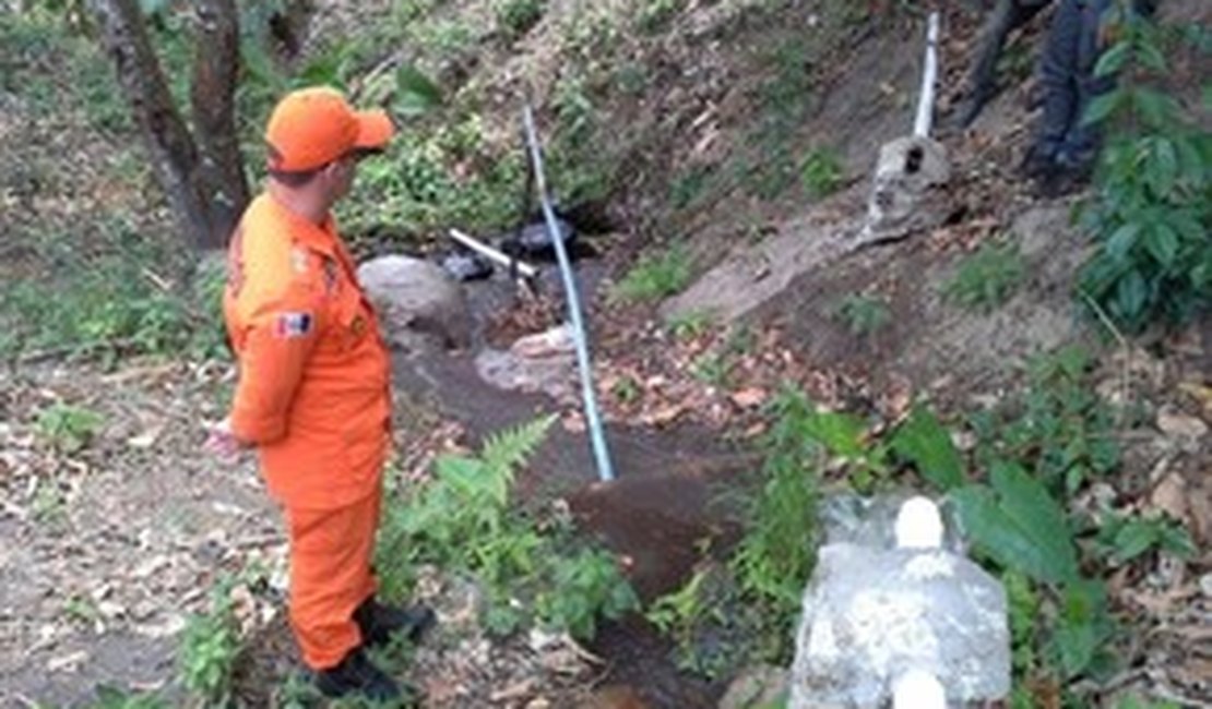 Suspeito de queimar extensa área verde é multado em R$ 30 mil em AL