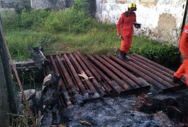 Cadáver é encontrado em córrego por trás de hospital, no Bebedouro
