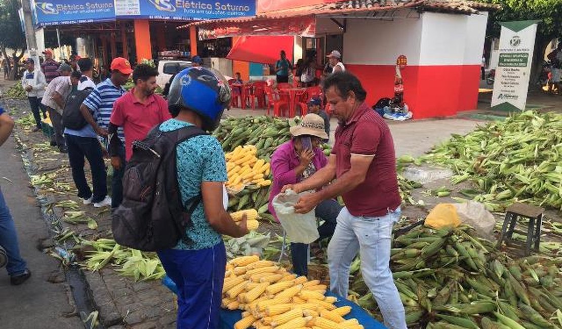 Milho se destaca no comércio de produtos típicos das festas juninas em Arapiraca