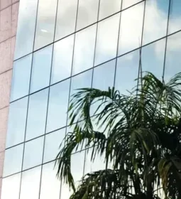 Esporte CBF fecha patrocínio com Google para uso de inteligência artificial nas seleções