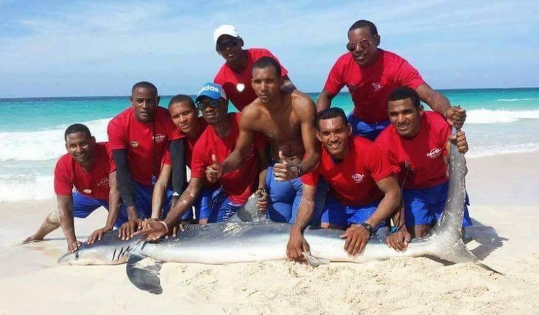 VÍDEO: Tubarão morre após ser retirado do mar para foto